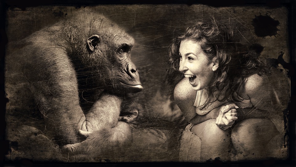 Managing Emotions During Career Change and Job Searching, Part Two