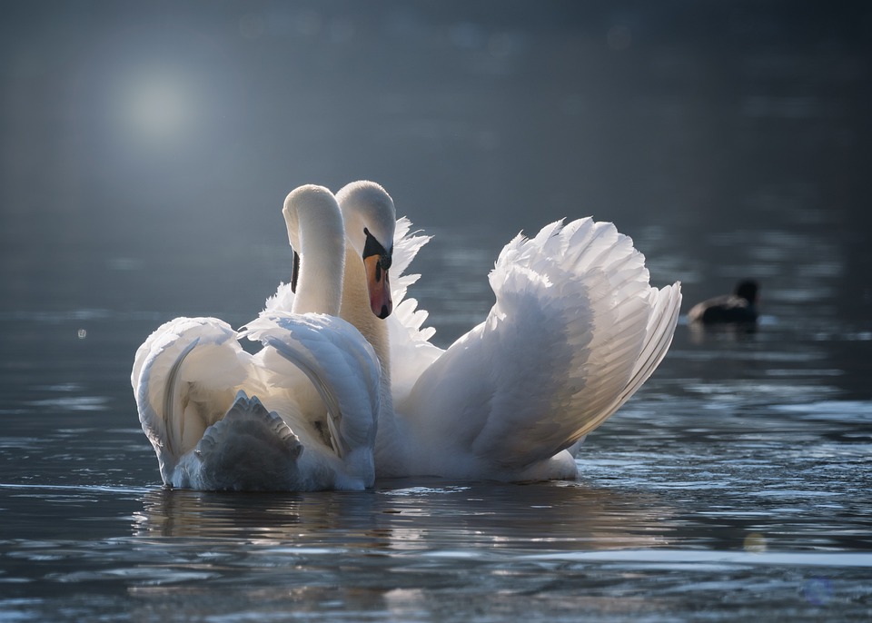 Relationships: Can a relationship stir up feelings that have been frozen?